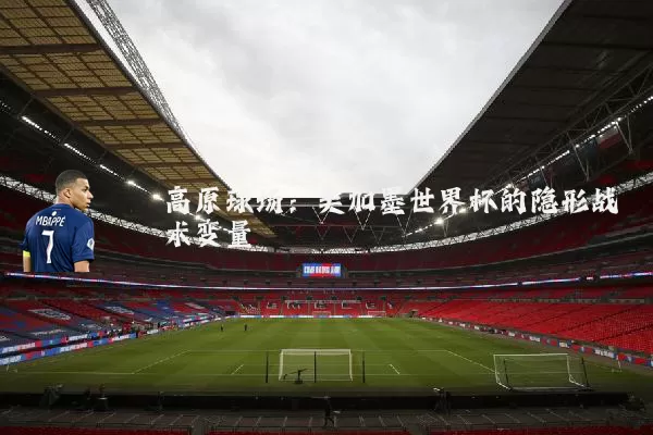 高原球场:美加墨世界杯的隐形战术变量